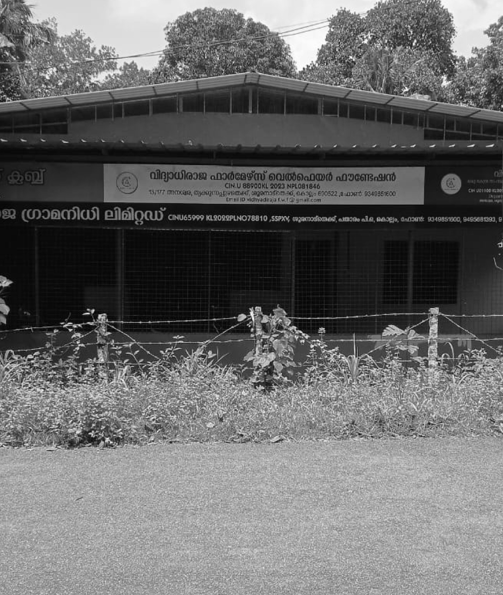 VidhyadiRaja Farmers Welfare Foundation